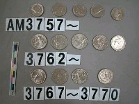 藏品(美國二十五美分硬幣)的圖片